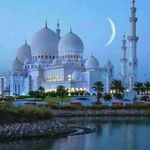 Meet your Posher, Juan